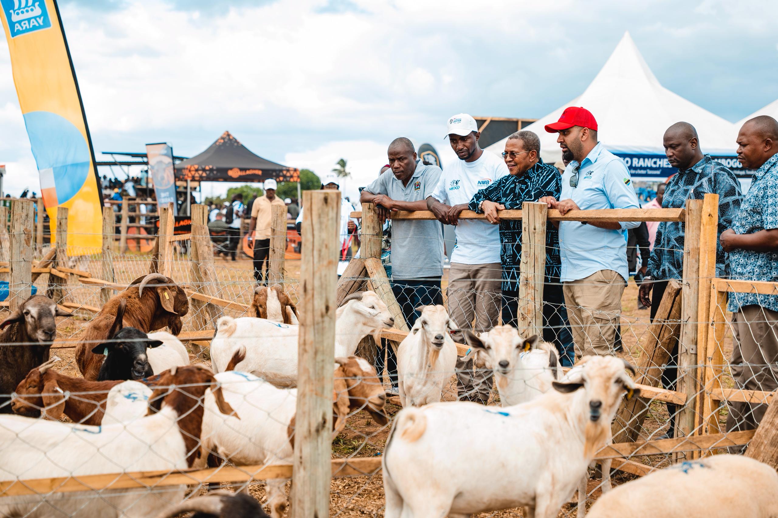 Mnyeti aipongeza NMB kuunga mkono wafugaji nchini - Global Publishers
