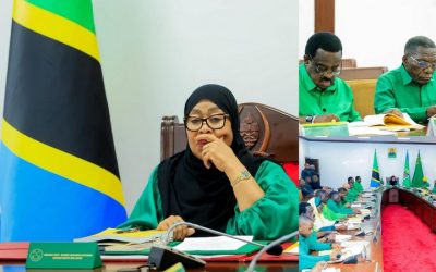 Samia Aongoza Kikao Kizito cha Kamati Kuu CCM Dodoma - Global Publishers