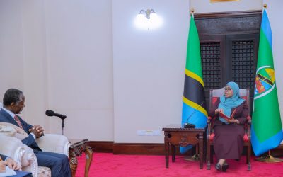 Rais Samia Akutana na Mwakilishi Maalum wa Katibu Mkuu wa Umoja wa Mataifa Afrika - Global Publishers