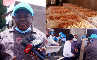 Naibu Waziri Hamad Afika Kwenye Shamba la Kuku Kisarawe Linalozalisha Kuku Milioni 6 - Global Publishers