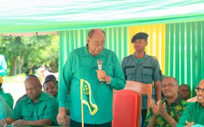 Wasira Awatolea Uvivu Walioanza Mbio Za Urais Mwaka 2030 (Picha +Video) - Global Publishers