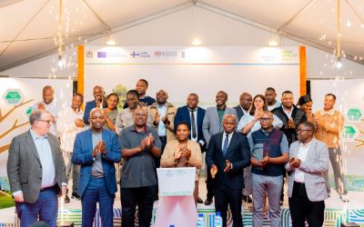 UNDP na Finland Wawekeza Katika Biashara Endelevu Tanzania - Global Publishers