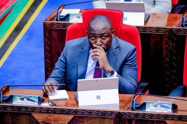 Video: Mbunge Sanga Ahoji Kuhusu Ujenzi wa ‘Arena’