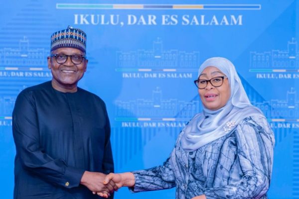 Rais Samia Afanya Mazungumzo na Tajiri wa Afrika Aliko Dangote