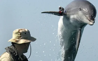 Marekani Yakanusha Madai ya Dolphin wa Kujitoa Muhanga wa Iran - Global Publishers