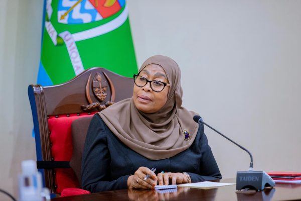 Rais Samia Akutana na Ujumbe wa Africa CDC Ikulu Dar