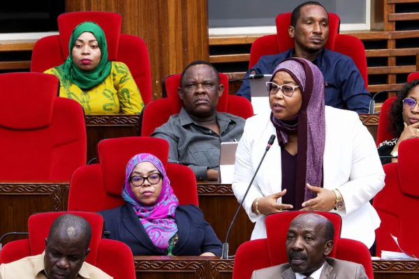 Mbunge Shadya Akemea Mijadala ya Muungano Inayoweza Kuligawa Taifa