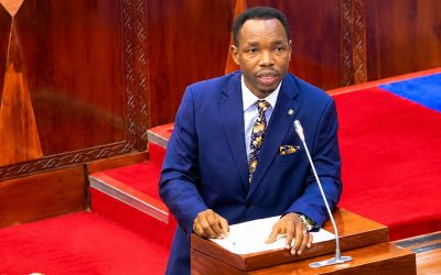 Waziri Katambi Apiga Marufuku Mikutano ya Vyama vya Siasa, Tishio la Maandamano - Global Publishers
