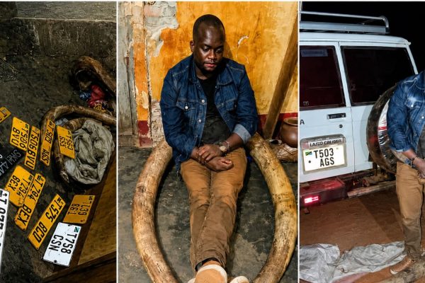 Meneja wa Zamani wa TRA Kigoma Ahukumiwa Miaka 20 Jela Kwa Kukutwa na Meno ya Tembo
