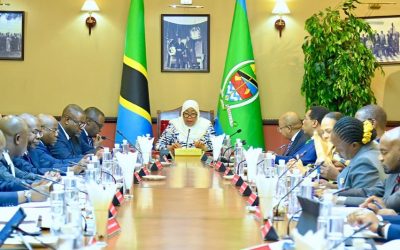 Rais Samia Aongoza Kikao cha Baraza la Mawaziri Ikulu Dar – Picha - Global Publishers