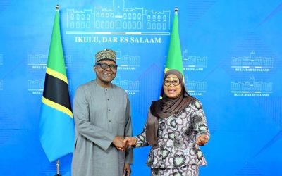 Rais Samia Akutana na Dangote Ikulu, Wafanya Mazungumzo ya Pamoja - Global Publishers