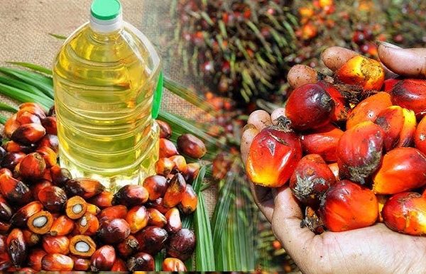 Fahamu Kwa Nini Mafuta ya Mawese Yanatajwa Kuwa na Virutubisho Muhimu?