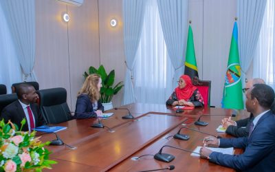 Rais Samia Akutana na Mkurugenzi Mkuu wa IOM Zanzibar - Global Publishers