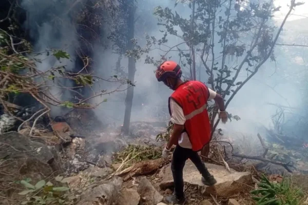 Watu Saba Wafariki Baada ya Helikopta Kuanguka Kenya, Mkuu wa Ujasusi wa Ecuador Afariki