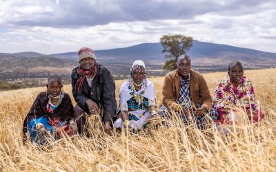 Ushirikiano Imara Unaendesha Mustakabali wa Kilimo Tanzania - Global Publishers