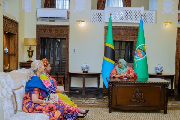 Rais Samia Akutana na Msanii Mkongwe Yvonne Chaka Chaka