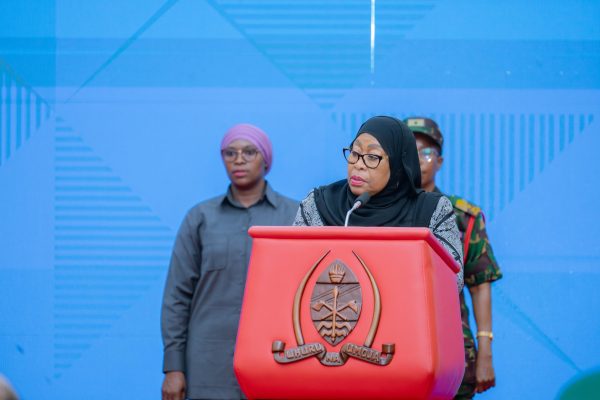 Rais Samia Azindua Tume Maalum Kuchunguza Ghasia za Uchaguzi 2025 – Video