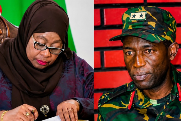 Rais Samia Afanya Mabadiliko, Ateua CEO wa TAFICO na Balozi Malaysia