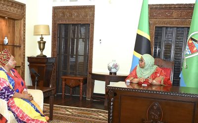 Rais Dkt. Samia Akutana na kuzungumza na Msanii Yvonne Chakachaka Wa Afrika Kusini - Global Publishers