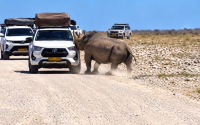 Kifaru Avamia Gari la Watalii Namibia, Msemaji wa Wizara Afunguka - Global Publishers