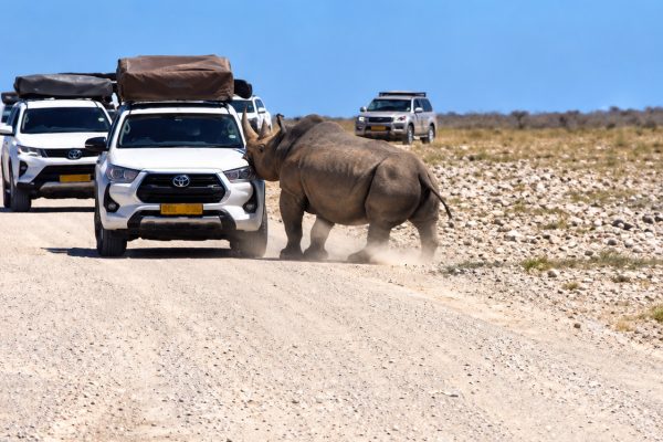 Kifaru Avamia Gari la Watalii Namibia, Msemaji wa Wizara Afunguka