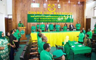 Wasira Akutana na Wabunge wa CCM katika Makao Makuu ya Chama - Global Publishers