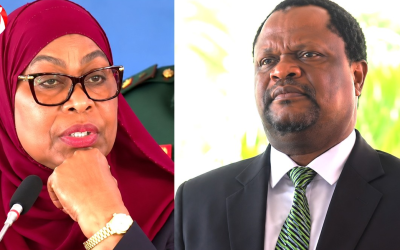 Video: Rais Samia Atoa Agizo Zito kwa Mnyeti Kuhusu Madini ya Katoro - Global Publishers
