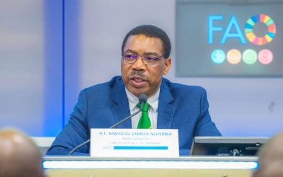 Tanzania Yaahidi Kuongeza Juhudi Kutokomeza Sotoka Ifikapo 2040 - Global Publishers