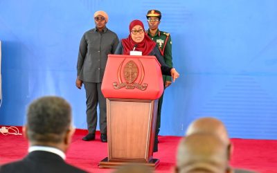 Ikulu Yatoa Onyo Dhidi Ya Taarifa Feki Za Shughuli Za Rais Samia - Global Publishers