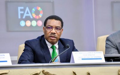 Dkt. Mwigulu: Uwezeshaji wa Wanawake ni Uwekezaji Katika Afya Moja - Global Publishers