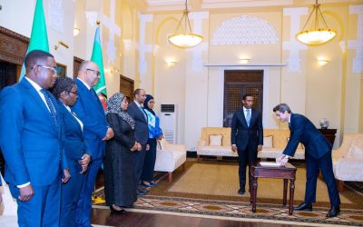 Rais Samia Apokea Hati za Utambulisho za Mabalozi Wapya wa Nchi Tano Ikulu jijini Dar - Global Publishers